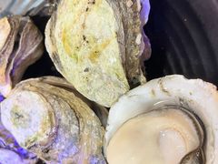 -蚝抵食·湛江生蚝(湾北路店)