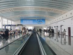 -山东特产豪士特(遥墙国际机场店)