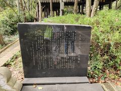 -上海佘山国家森林公园天马山园