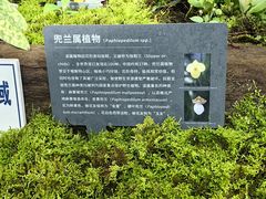 -国家植物园南园