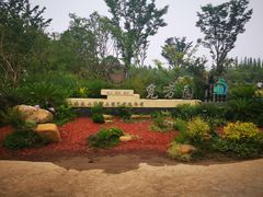 -上海长兴岛郊野公园