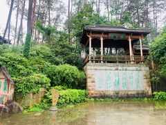 -千岛湖东南湖区