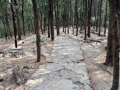 -云龙山