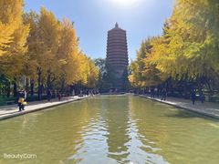 -玲珑塔公园