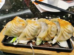 铁板羊肉饺子-新兴·金羊座·粤菜点心(乐峰店)