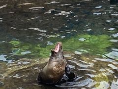 -杭州长乔极地海洋公园