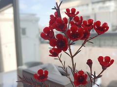 -潮州府·潮菜·砂锅粥(徐家汇店)