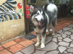 -老宅原住民沙茶面精品小吃(龙头路店)