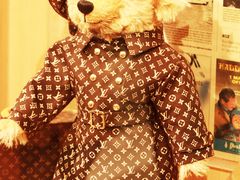 -济州岛泰迪熊博物馆