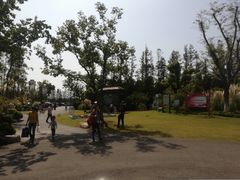 -上海长兴岛郊野公园