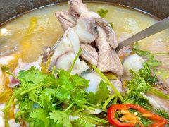 -大鼎石锅鱼(春江里店)