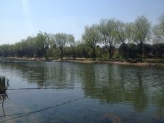 iphone_upload_pic-新江湾城公园