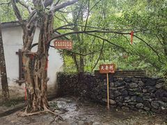 -桂林古东瀑布景区