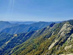 -紫金山山顶公园