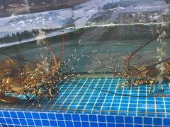 -友鹏海鲜(新宜白大道店)