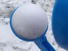 -武陵山森林公园