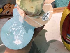 -野人先生现做冰淇淋(西安赛格店)