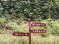 -重庆彩云湖湿地公园