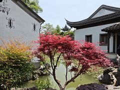 -芥子园
