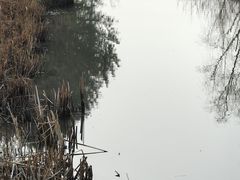 -九科绿洲