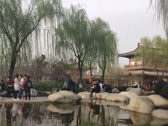 -西安青龙寺遗址景区