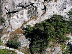 -明堂山风景区