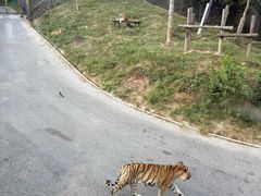 -大连森林动物园