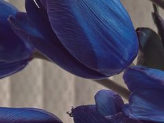 -吾生 My life花坊(复兴西路洋房店)