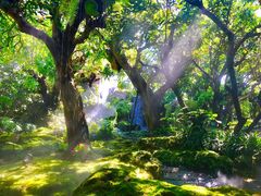 -Chom Cafe and Restaurant