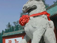 -关林