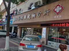 -顺强宠物诊所·狂犬免疫·夜诊·骨科(嘉定店)