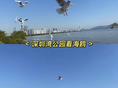 -深圳湾公园(南山区)