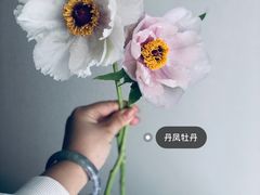 -花与咖啡馆(金星楼店)
