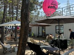 -帽儿山国家森林公园