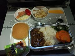 -德国汉莎航空公司