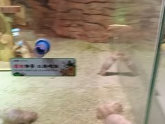 -正佳雨林生态植物园