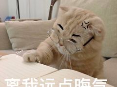 -甘家界牌柠檬鸭(青山店)