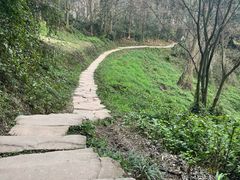 -青城山