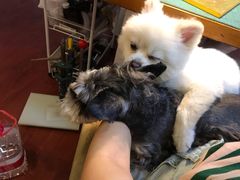 -零几体验diy皮具工作室(振业城店)