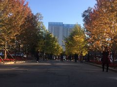 -辽宁大学(崇山校区)