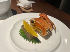 -觀芷隐轩