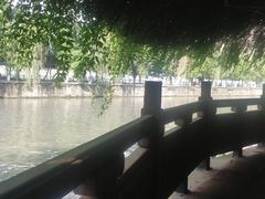 -成都市活水公园