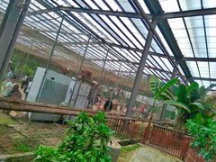 -呀路古热带植物园