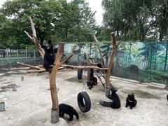 -西安秦岭野生动物园