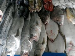 -山东八大碗山东老字号