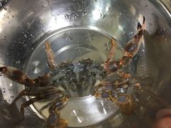 -宾朋海鲜特色美食餐厅·纯手工鲅鱼水饺(兴海路店)