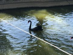 -新疆天山野生动物园