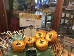 -都恩客(高岛屋百货店)