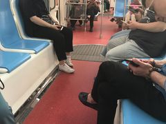 -国家植物园(地铁站)