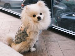 -伊斯坦布尔土耳其清真咖啡餐厅